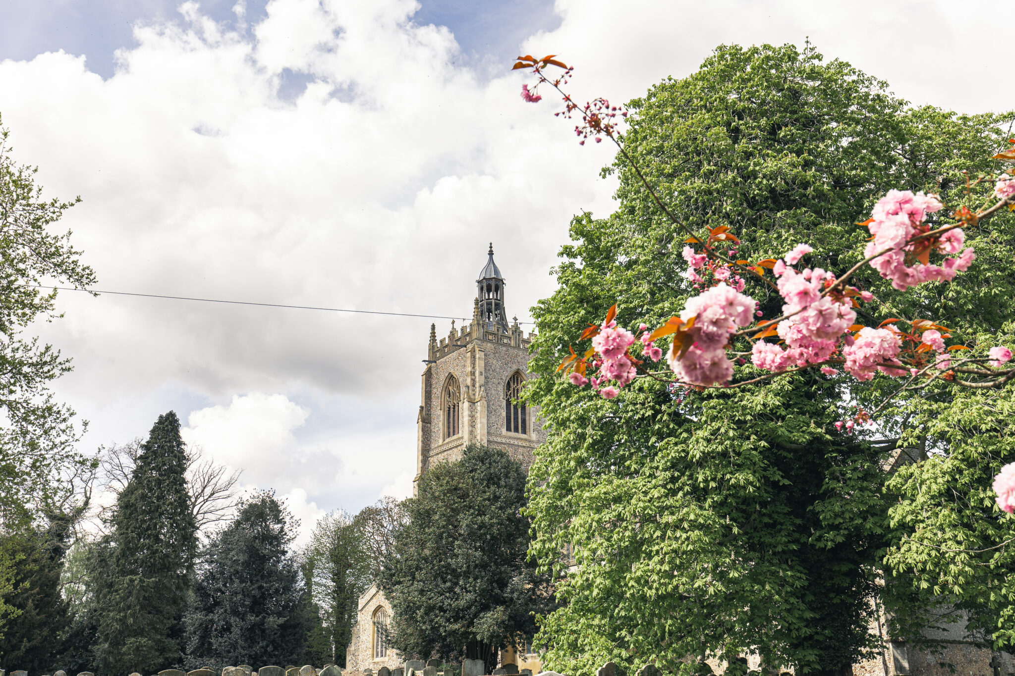 View of Necton village church tower and trees.
